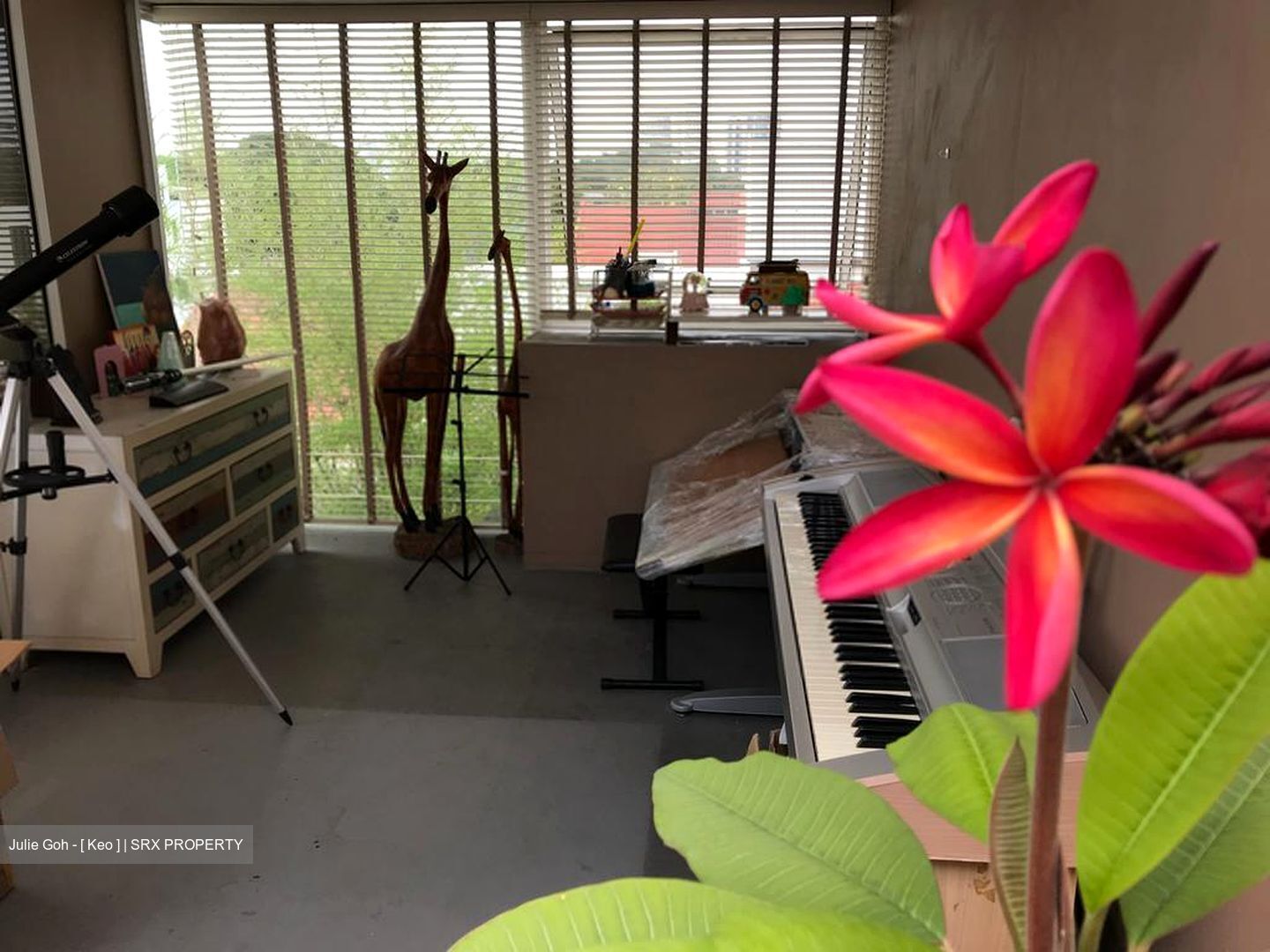 BLANDFORD DRIVE (D19), Terrace #571145721